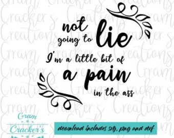 Ik ga niet liegen, ik ben een pijn in de kont svg, graphic tee cut file, pain in the ass,, svg bestanden cricut, silhouet, Instant download