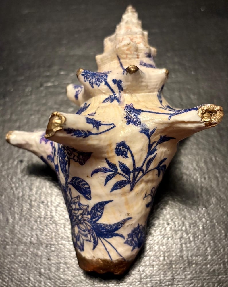 Decoupaged Conch Shell With Blue And White Chinoiserie Floral Pattern decoupaged-conch-shell-with-blue-and-white-chinoiserie-floral-pattern