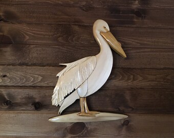 White Pelican Standing