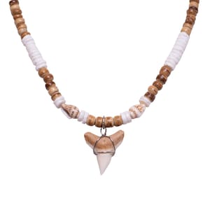 May include: A brown and white beaded necklace with a shark tooth pendant. The necklace is made of wood and shell beads.