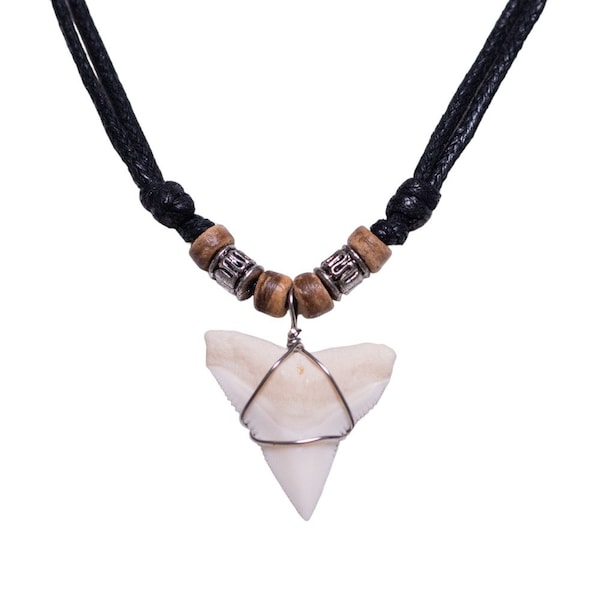 BlueRica Shark Tooth on Adjustable Cord Necklace