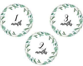 Greenery Baby Milestone Cards Printable, Greenery Baby Shower Gift for Mom, Month by Month Instagram Prop, Newborn Photo Prop