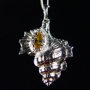 Fine Silver Biplex Perca Seashell Pendant w/ Gold CZ