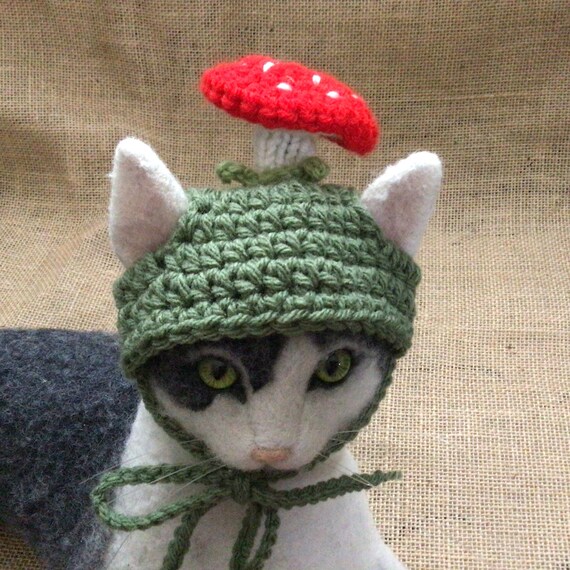 hat mushroom cat hats cats costumes