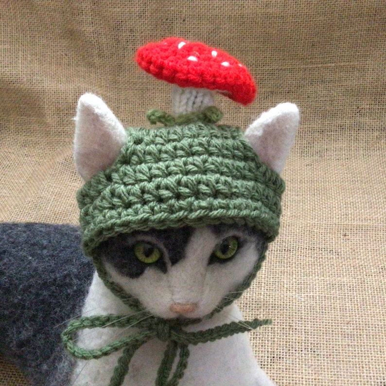 Cat in mushroom hat