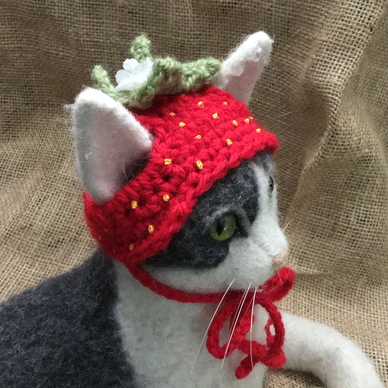 Strawberry hats for cats cat hat cat costumes cat | Etsy
