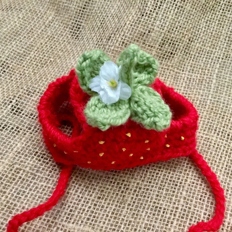 Strawberry hats for cats cat hat cat costumes cat Etsy