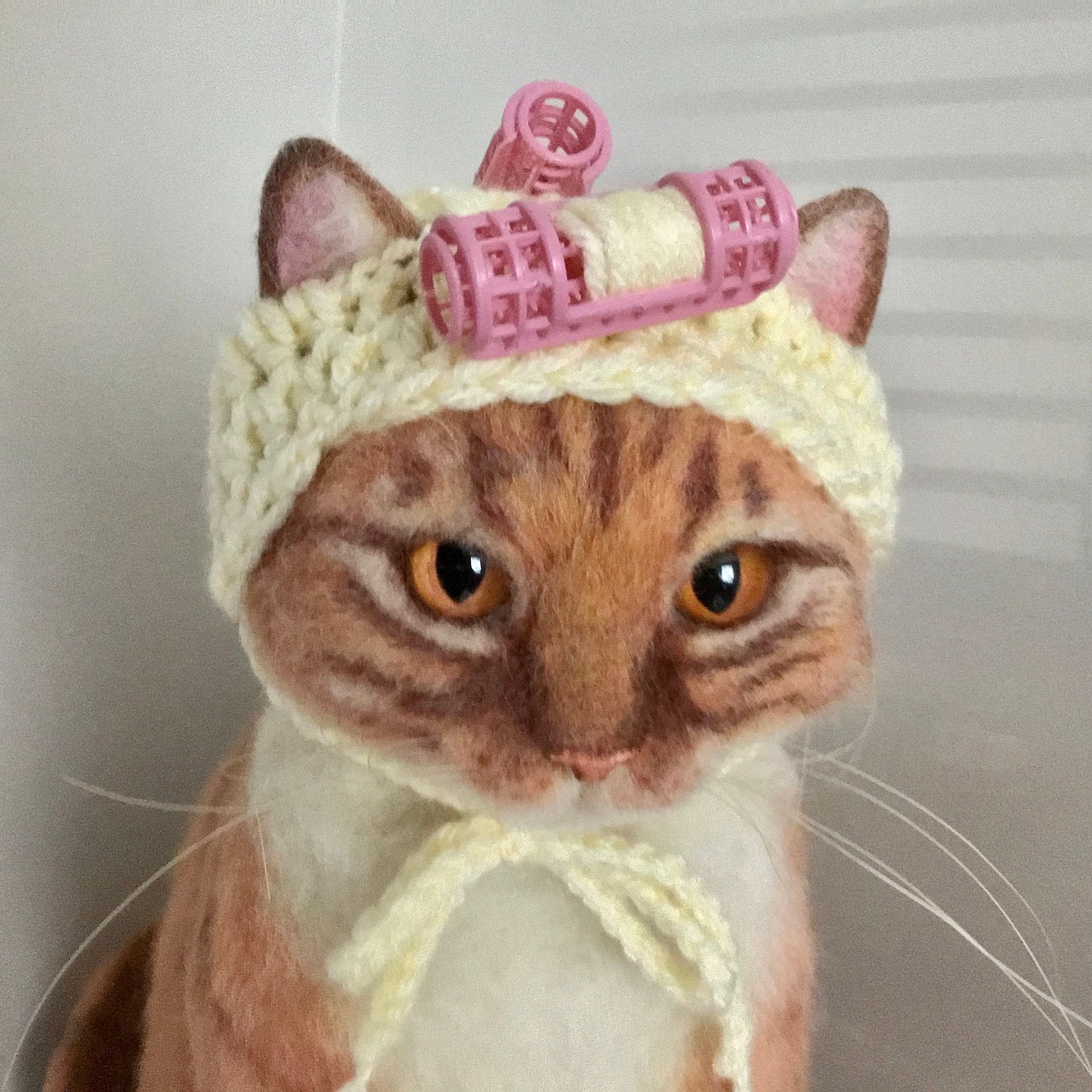 Hats for cats curler hat cat hat cat costumes cat | Etsy