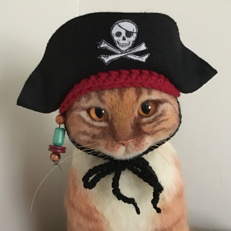 Pirate hat pirate Jolly Roger pirates hats for cats cat Etsy