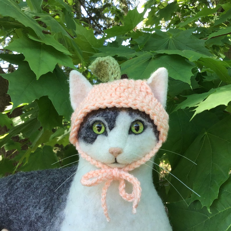 Peach hat peaches fruit hats for cats Halloween cat Etsy