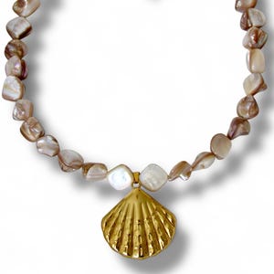 Natural Seashell Choker Necklace in Stainless Steel, Ocean-Inspired Jewelry
