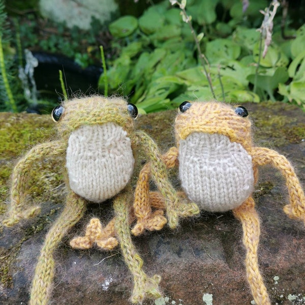 Hand knitted frog. With sweater
