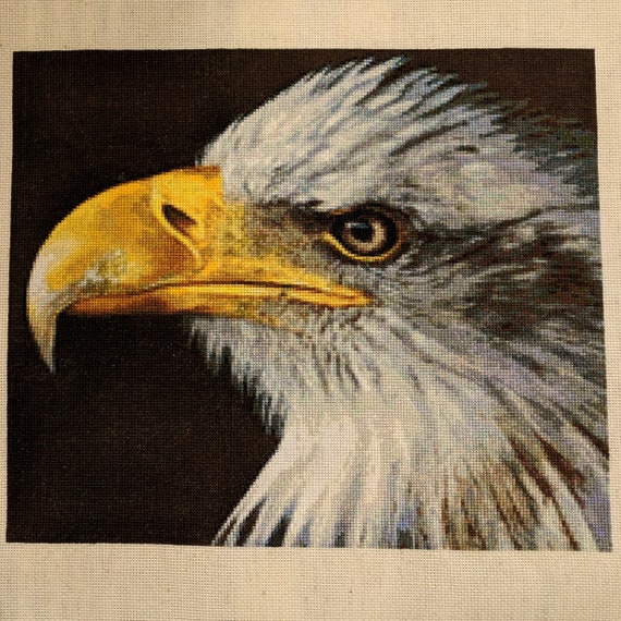 Bald Eagle Cross Stitch Pattern Pdf Digital Download Etsy