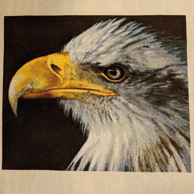 Bald Eagle Cross Stitch Pattern PDF Digital Download - Etsy
