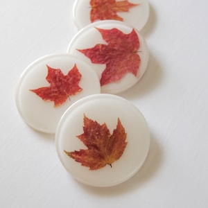 May include: Four white round coasters with red and orange pressed leaves inside. The coasters are arranged in a row, with the top coaster slightly offset to the right.