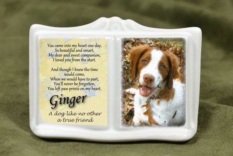 Frame Book Dog Mini Portrait Picture Custom Pet Photo Image 0