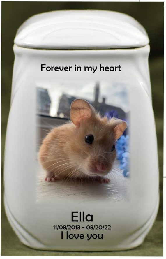 All ASHES Cremation Urn for Hamster Photo Hamster Urn Urn Etsy