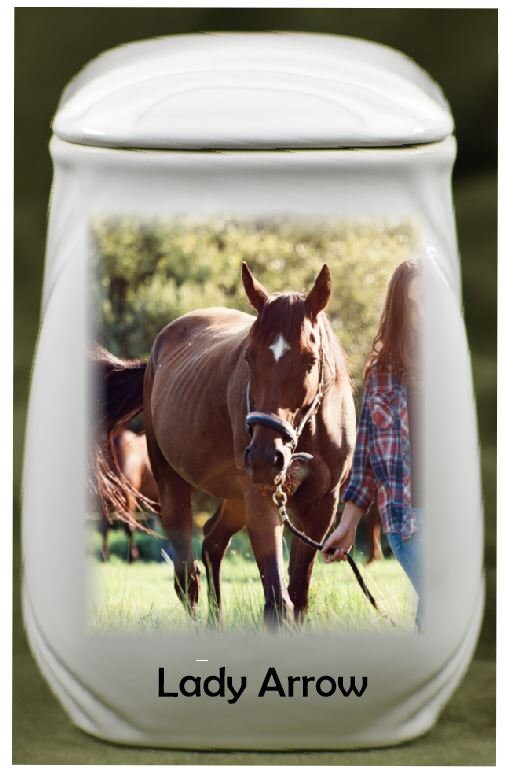 Cremation Urn for Horse Ashes Photo Horse Custom Urn Mini Etsy