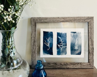 Framed Botanical Cyanotype Art