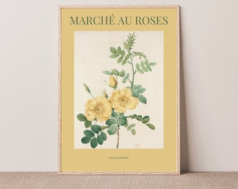 Vintage Botanical Rose Art Print, Botanical Poster, Floral Art, Flower Wall Art, Art Poster, Moody Flower Print, Archival Print, Rose Art