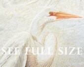 Lake House Décor, Rustic Décor, Egrets Herons Art, Herons, Great White Egret