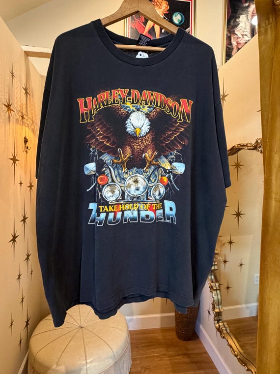 Vintage 1992 Harley Davidson take hold of the thunder - Holobek, inc
