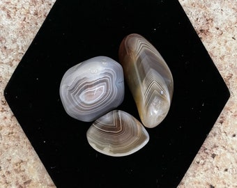 Gray Botswana Agate - 3 pack