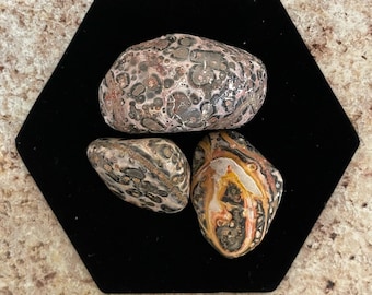 Leopard Jasper - 3 pack