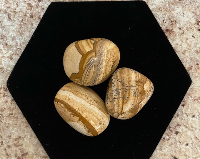Picture Jasper - 3 pack