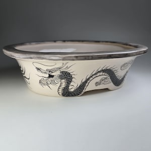 Puede incluir: Una maceta de bonsái de cerámica blanca con un diseño de dragón blanco y negro. El dragón está enroscado alrededor de la maceta y tiene un diseño de nubes en el fondo.