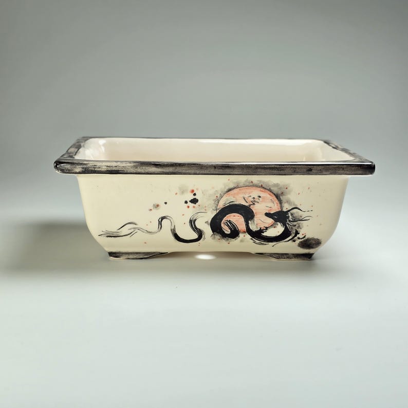May include: A white ceramic rectangular bonsai pot with a black dragon design and a red and orange moon. The pot has a black rim and a drainage hole.