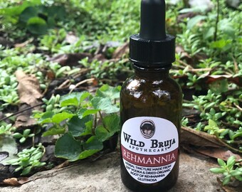 Kidney Root Etsy
