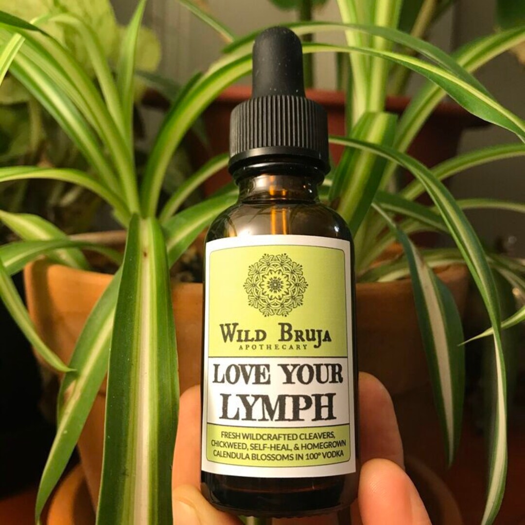 Love Your Lymph Blend of Fresh Cleavers Chickweed Etsy