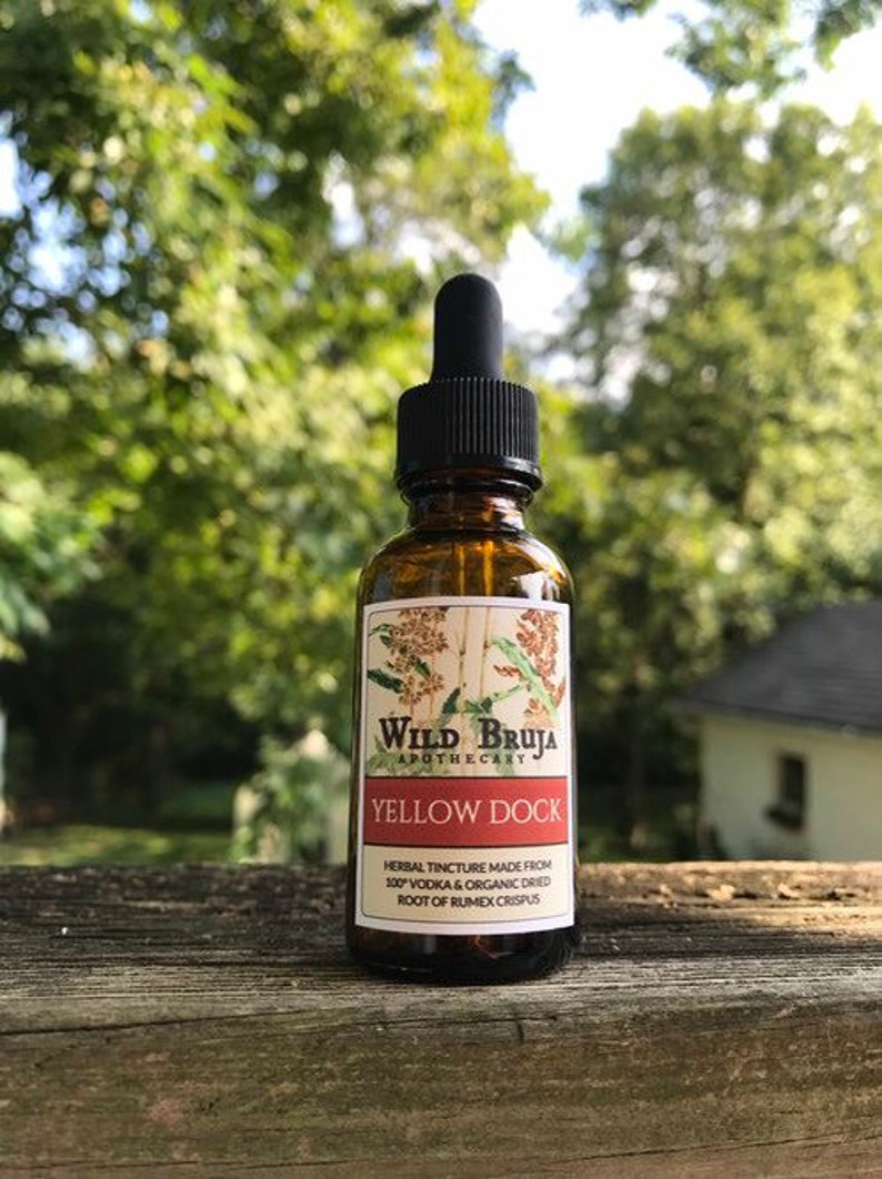 Yellow Dock Root Tincture Rumex Crispus 100 Proof Vodka Etsy