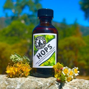 Hops Tincture • Humulus lupulus • 100 Proof Vodka • Herbal Medicine