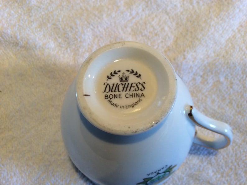 Duchess bone china made in England cup