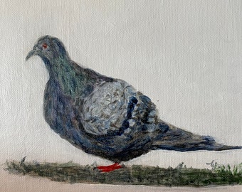 Pigeon, Bird, Wall art for Study, wall art for living room