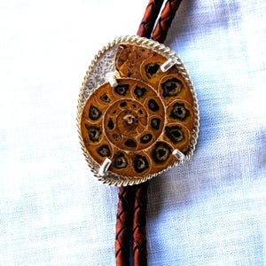 May include: A bolo tie featuring a polished, fossilized ammonite set in a silver-toned frame with a twisted rope design. The fossil is a warm brown color with intricate spiral patterns. The tie has a braided brown leather cord.