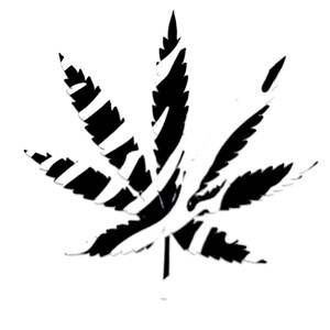 Marijuana Pot Plant Hemp Leaf Vinyl Car Truck Decals Stickers