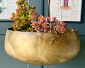 Petersham Hanging Planter LTZKR020