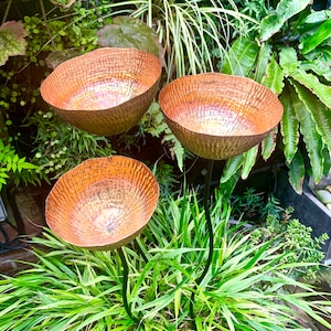 May include: Three copper bowls on black metal stems, arranged in a garden setting. The bowls are hammered and have a shiny, iridescent finish.