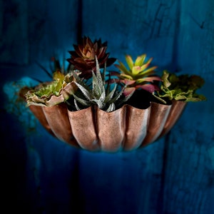 Scallop Wall Planter LTZKR034 image 2