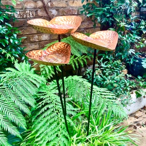 May include: Three copper heart-shaped bird feeders on black metal stakes, set in a lush green garden with ferns.