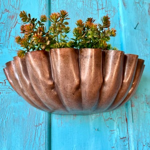 Scallop Wall Planter LTZKR034 image 4