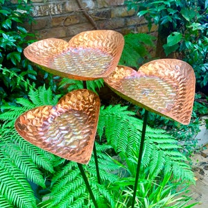 May include: Three copper heart-shaped bird baths on metal stakes, set in a bed of green ferns.