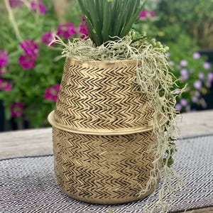 May include: A gold planter with a woven pattern, featuring a green plant with long, thin leaves and a light green moss-like material. The planter is sitting on a black and white patterned surface.