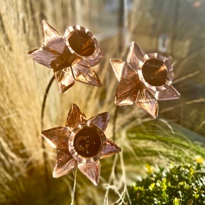 Trio Of Copper Daffodil Sculptures LTZAF147