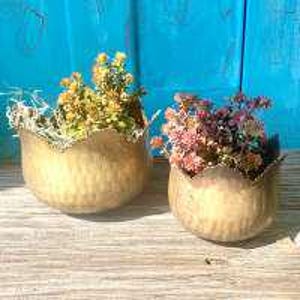 May include: Two hammered gold-coloured metal bowls with scalloped edges, each filled with dried flowers. One bowl holds yellow and green flowers, the other holds pink and purple flowers. The bowls sit on a weathered wooden surface against a turquoise background.