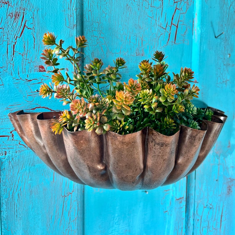 Scallop Wall Planter LTZKR034 image 5