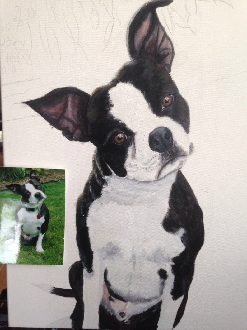 Custom pet portraits in Oil on stretched canvas